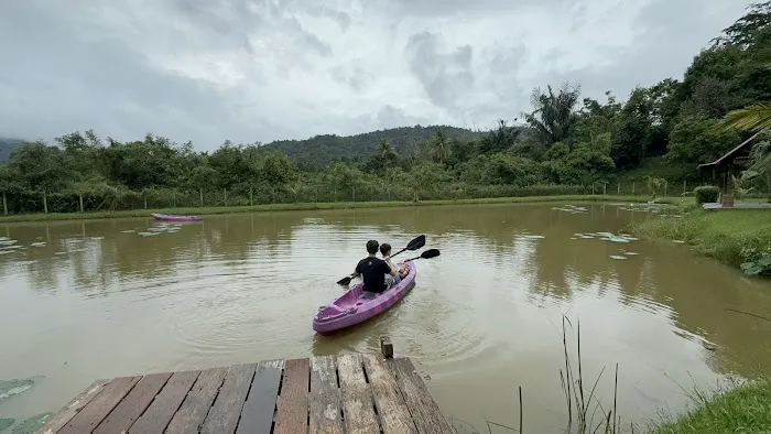 Laman Tamara Retreat Picture 10