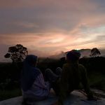 Rimba Buyau