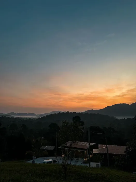 Rimba Buyau Picture 4