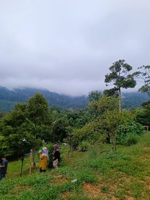 Kembara Campsite Picture 10