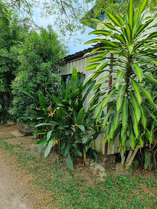 The Garden Resort (Homestay) Picture 7
