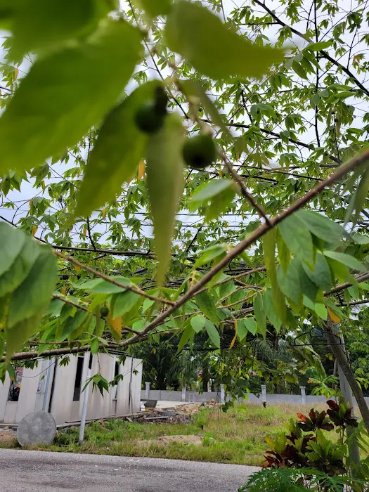 Homestay Atuk de ' Ijok Picture 6