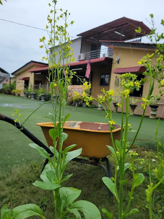 Homestay Atuk de ' Ijok Picture 8