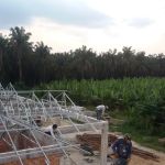 NaSa Homestay II