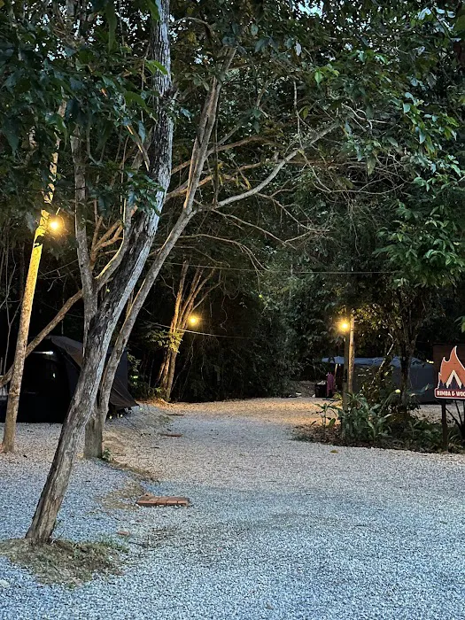 Rimba & Woods Campsite Kuala Pilah Picture 8