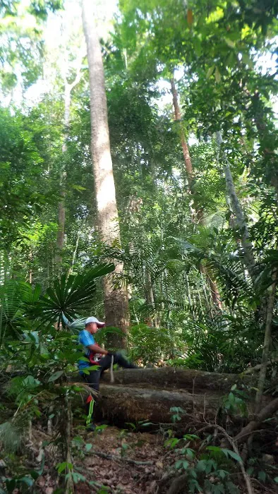Homestays Idaman Mentakab Picture 6