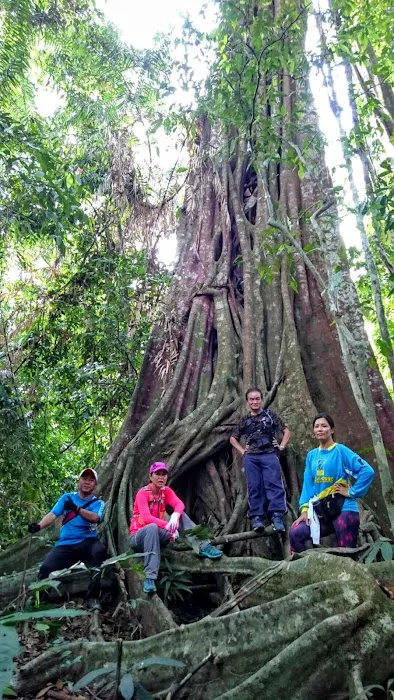 Homestays Idaman Mentakab Picture 4