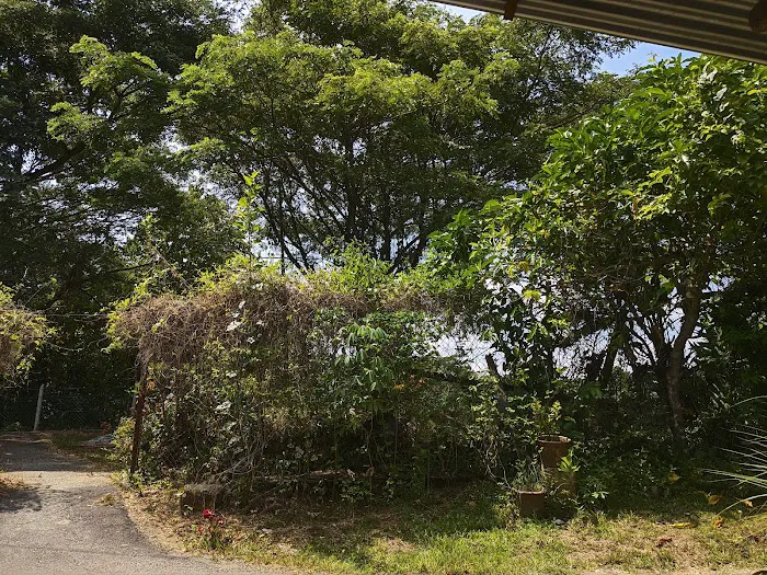 Syurgaku Home Picture 4