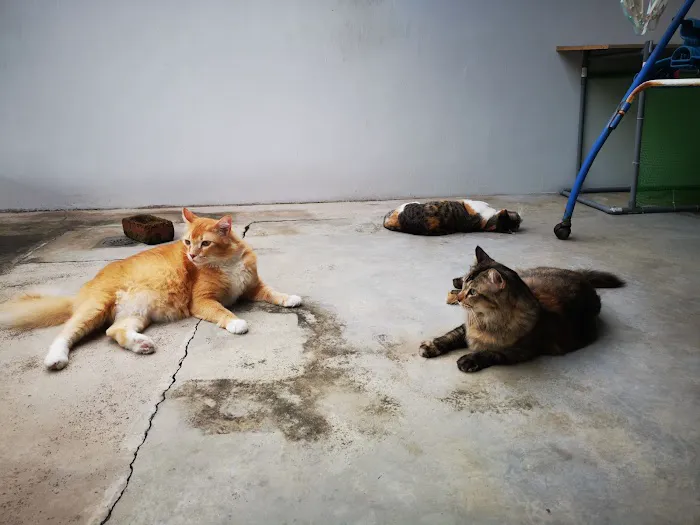 Choco & Smarties House Picture 6