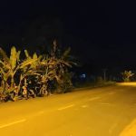 TAMAN ROS SETIA