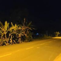 TAMAN ROS SETIA ico