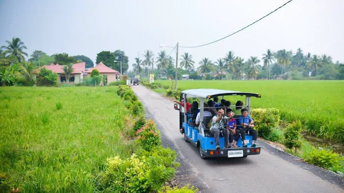 Homestay Kampung Lonek Picture 4