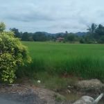KOLONEK CAMP