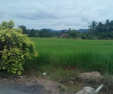 KOLONEK CAMP
