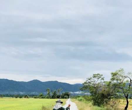 Nasir Homestay