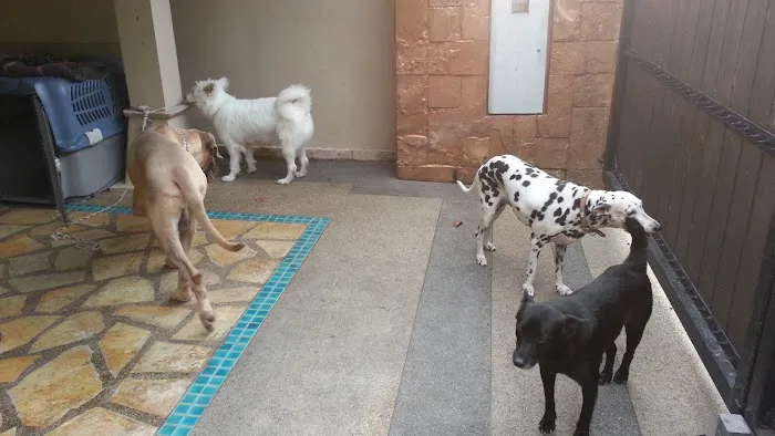 Woof Gang Training and Services Picture 1