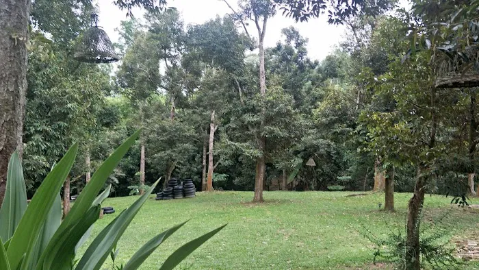 The Plantation Picture 3