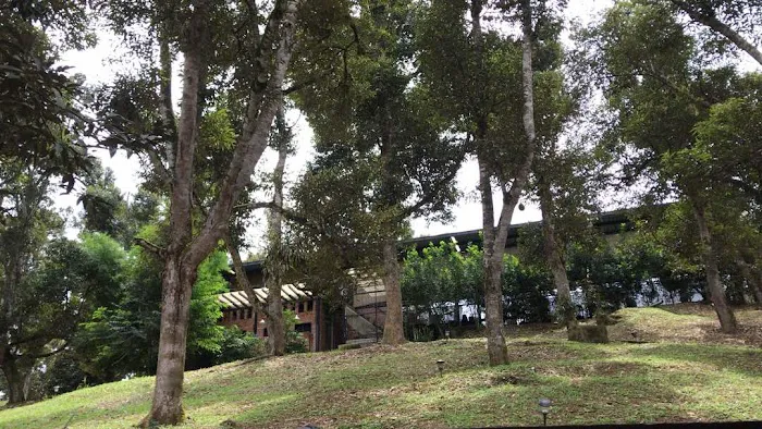 The Plantation Picture 2