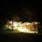 The Plantation