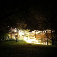 The Plantation ico