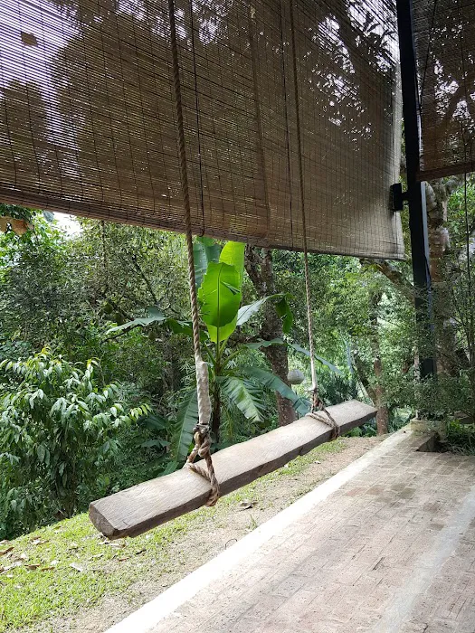 The Plantation Picture 5
