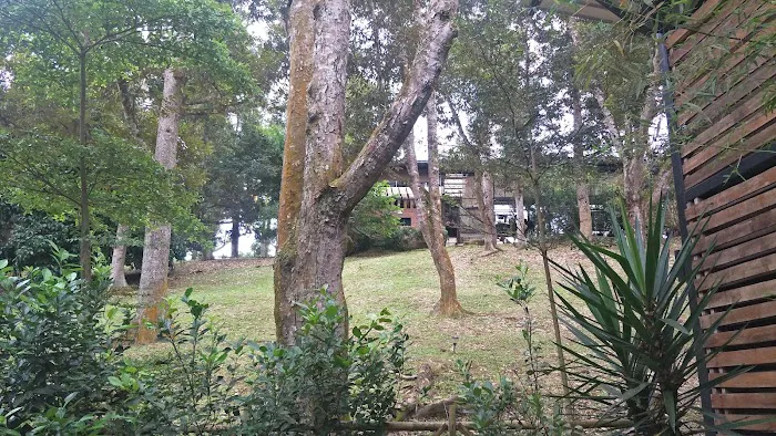 The Plantation Picture 6