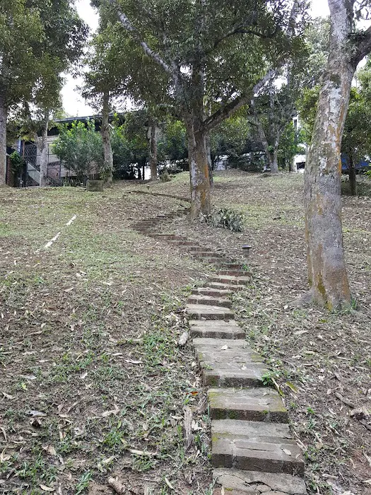 The Plantation Picture 10