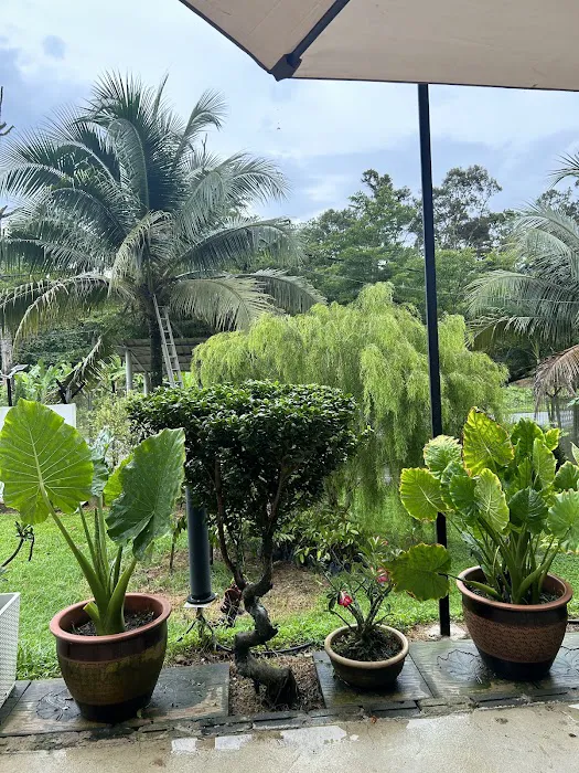 Karak Hilltop Durian Orchard Picture 5
