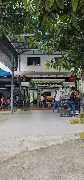 Karak Hilltop Durian Orchard Picture 4