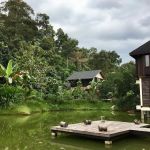 Nature Farm Karak Pahang