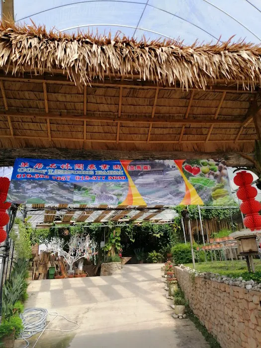 Cozy Leisure Farm (Bertam Valley) Picture 5