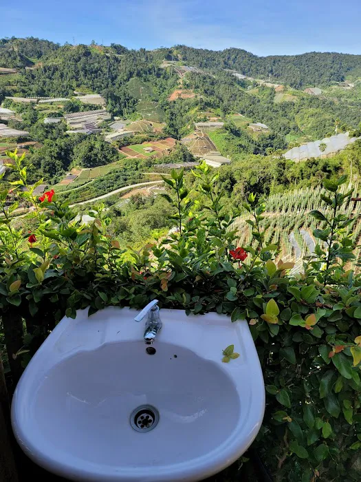 Cozy Leisure Farm (Bertam Valley) Picture 3