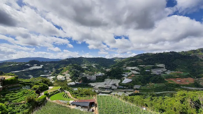 Cozy Leisure Farm (Bertam Valley) Picture 6