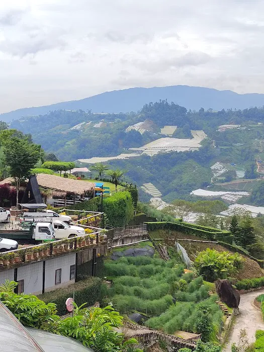 Cozy Leisure Farm (Bertam Valley) Picture 8
