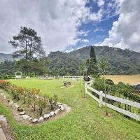The Lakehouse Cameron Highlands ico
