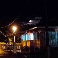 Homestay 501 - Rumah Cikgu Othman ico