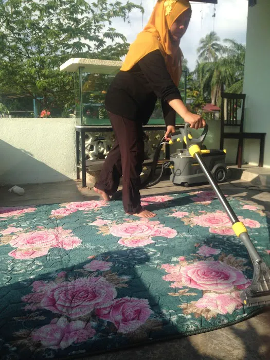 Pro Cleaner Detailing Port Klang Picture 2