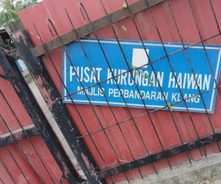 Mpk dog pound