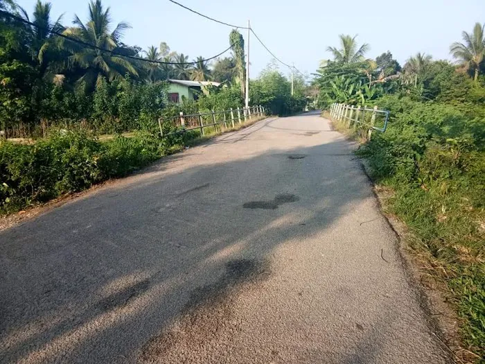 kampung lubok chekok Picture 8