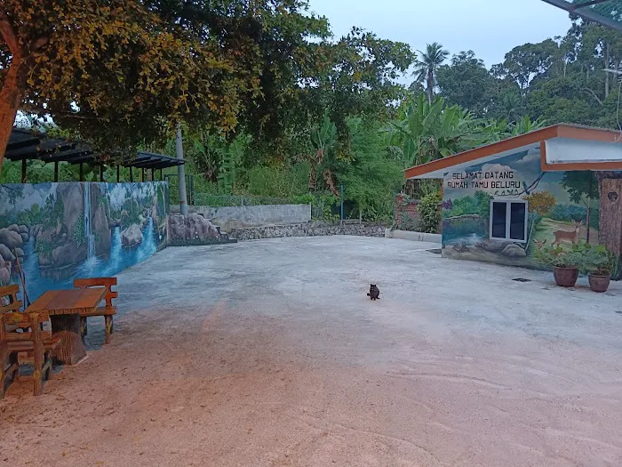 Guesthouse Beluru Picture 9