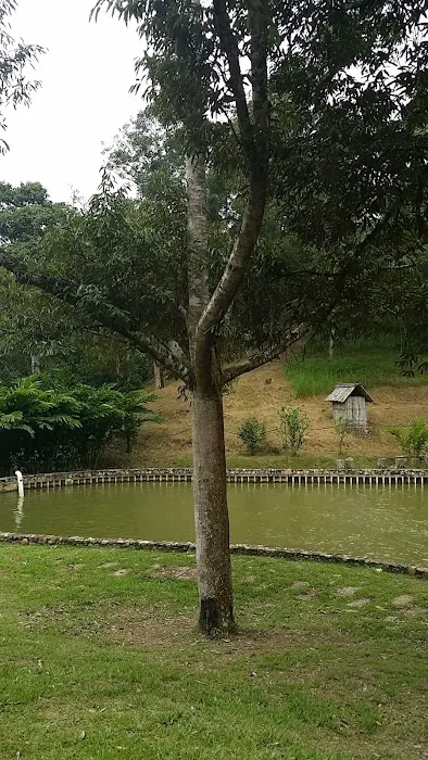 Serai Caravan Villa Picture 8