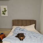 Amigo Holiday Villa