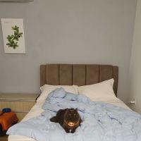 Amigo Holiday Villa ico