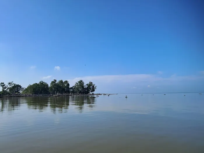 Wave Rest House & Cafe Picture 8