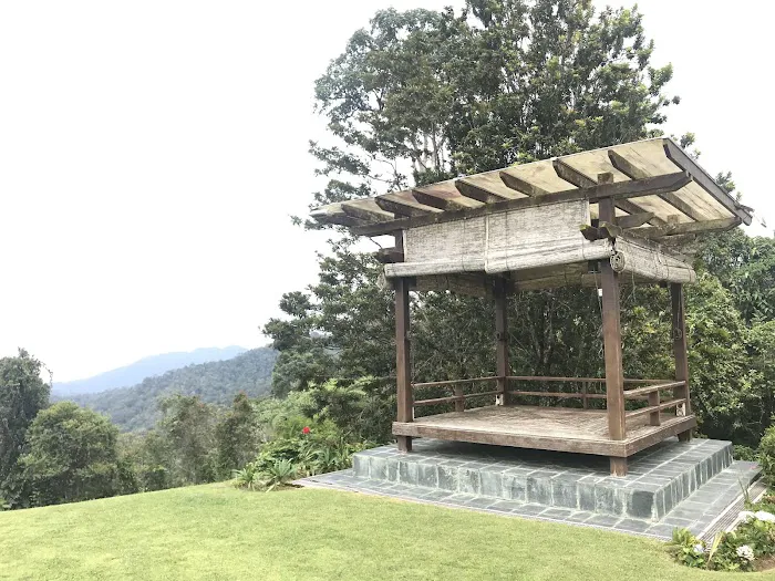 Angsana. Picture 7