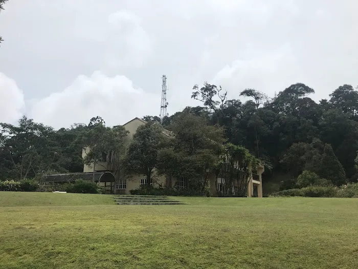 Angsana. Picture 5
