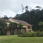 Angsana.