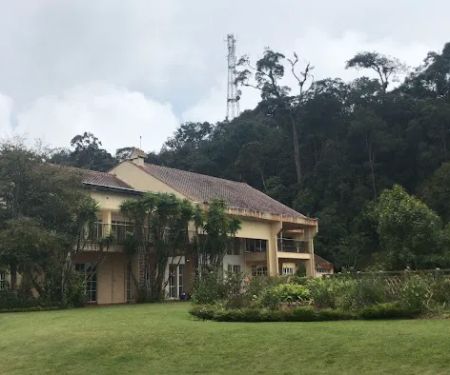 Angsana.
