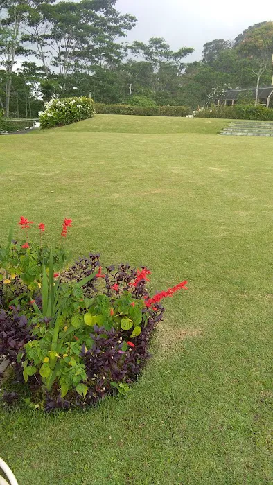 Angsana. Picture 10