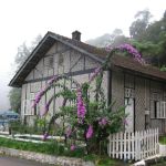 Banglo Bentong (The Cottage)